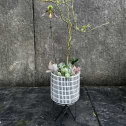 Potted succulent arrangement with a tall orchid stem in a patterned planter