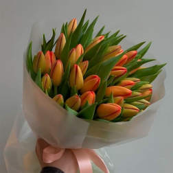 Bouquet of orange tulips wrapped in white paper with a pink ribbon