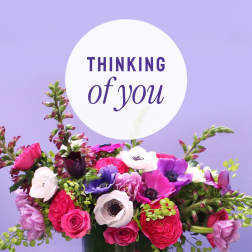 Pink, purple, and white flowers in a vase with a "Thinking of you" sign