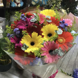 Bright mixed gerbera daisy bouquet wrapped in clear paper