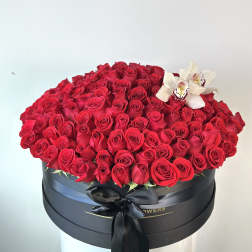 Large box of red roses with white orchids and a black ribbon