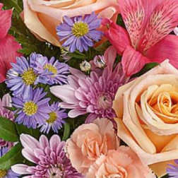 Close-up bouquet of peach roses, pink carnations, and purple daisy-like flowers