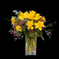 Yellow daffodils in a clear rectangular vase with pink filler flowers