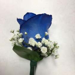 Blue rose boutonniere with white baby's breath
