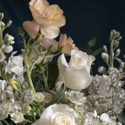White and cream roses with soft peach blooms arranged against a dark background