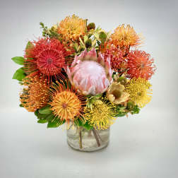 Tropical Sunset Protea