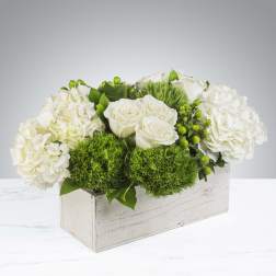White roses and hydrangeas in a white wooden box with bright green accents