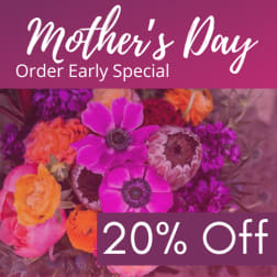 Bright pink and orange mixed bouquet with text reading Mother's Day order early special 20% off.