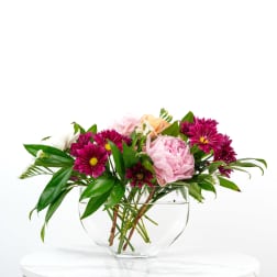 Our Birthday Collection: Collector's Surprise