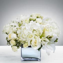 Snowy Field By BloomNation™