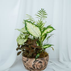 Ceramic Dish Garden 8in