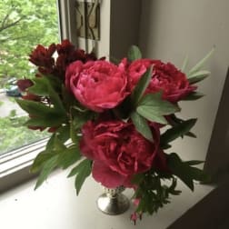 Suzanne Cummings Original 7