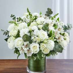 Cherished Memories™ All White