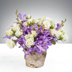 Compact arrangement of white roses and purple orchids in a rustic birch pot