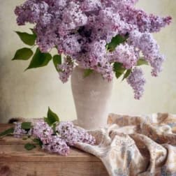 Tall arrangement of soft lavender lilacs in a pale ceramic vase on a wooden table