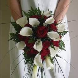 Red roses and white calla lilies in a cascading bouquet