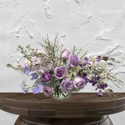 Signature Designer’s Choice Collection