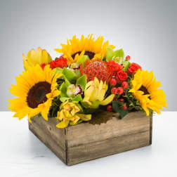 Sunflowers and mixed tropical flowers arranged in a wooden box
