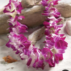 Purple and white orchid lei on sand with seashells