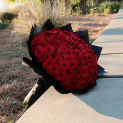 Large bouquet of red roses wrapped in black paper