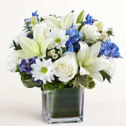 Healing Tears Blue & White