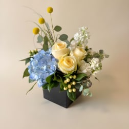 Blue Skies & Buttercups