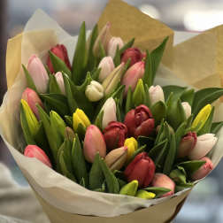 Bouquet of multicolored tulips wrapped in paper