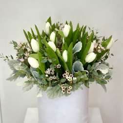 White tulips arranged in a pale round box with greenery