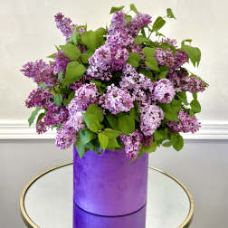 Lilac Hat Box By VLM Flowers