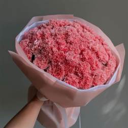 Large bouquet of pink carnations wrapped in pastel paper