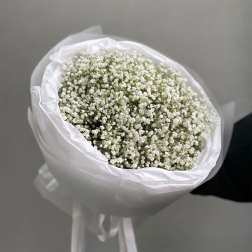 Bouquet of small white baby's breath flowers wrapped in white paper