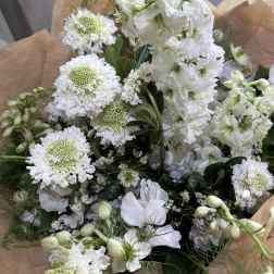 No Color, No Problem