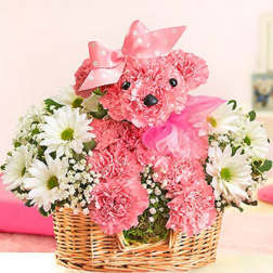 Princess Paws Poodle