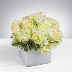 Cream roses and pale hydrangeas arranged in a square white vase