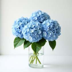 Blue hydrangea bouquet in a clear glass vase