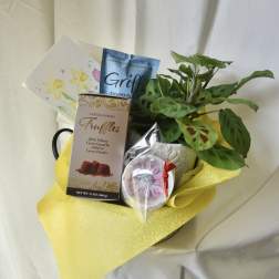 Gift basket with a potted plant, chocolates, and greeting cards