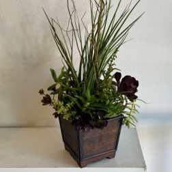 Succulent arrangement in a dark wooden planter with tall grass-like stems