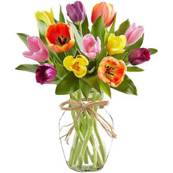 Classic Spring Tulips