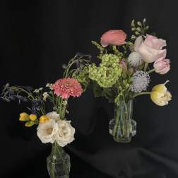 DESIGNER'S CHOICE, PETITE BUD VASE