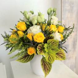 Sunshine State of Mind