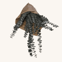 Bundle of dark eucalyptus stems wrapped in brown paper