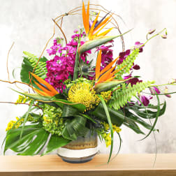 Tropical floral arrangement with orange bird-of-paradise and purple orchids in a vase