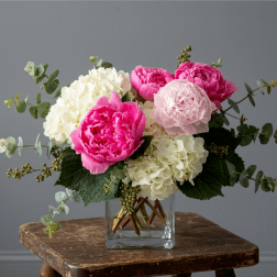 Pretty in Peonies