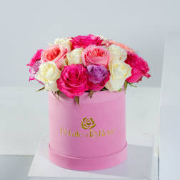 Medium Pinky Boxy VELVET