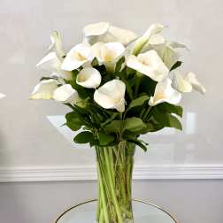 Calla Lily By VLM Flowers