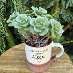 Potted succulent in a mug with "Mom" text