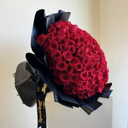 Large bouquet of red roses wrapped in black paper with a ribbon