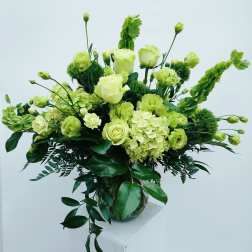 Verdure