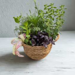 Herb Garden