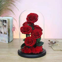 Red roses under a glass dome on a black base